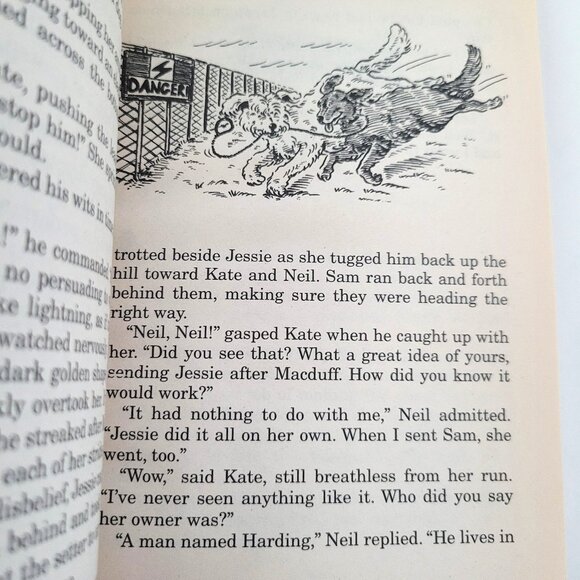 Book Collection - Picture 9 of 12